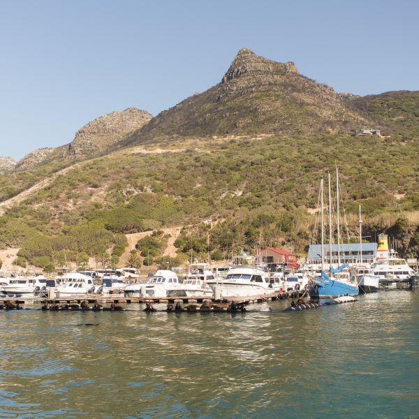 Boats in front of a green mountain